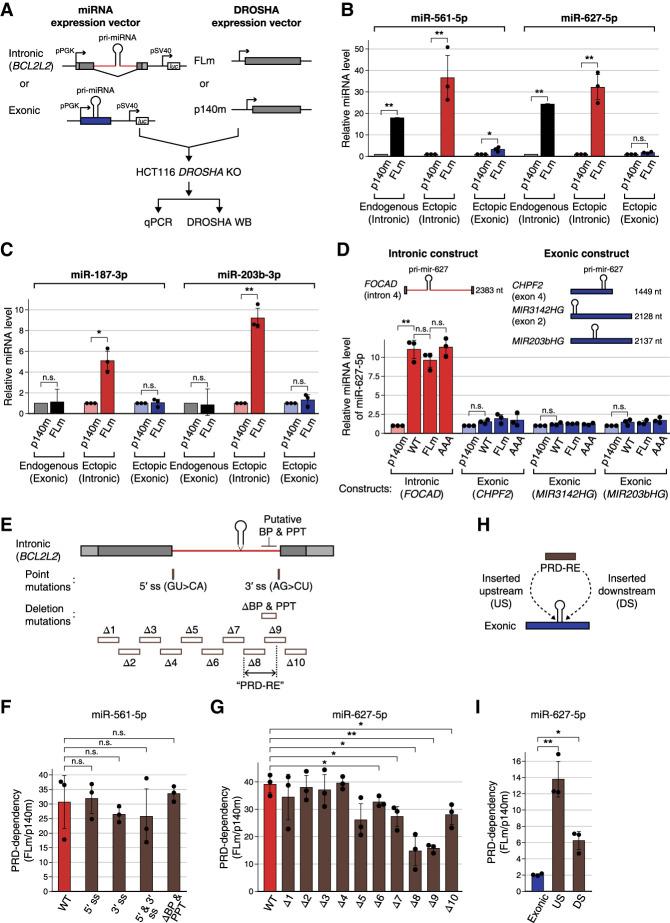 https://cdn.ncbi.nlm.nih.gov/pmc/blobs/79cb/10270192/4fa74276b4de/383f06.jpg