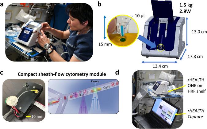 https://cdn.ncbi.nlm.nih.gov/pmc/blobs/79cb/10963801/14cf02d04a37/41467_2024_46483_Fig2_HTML.jpg