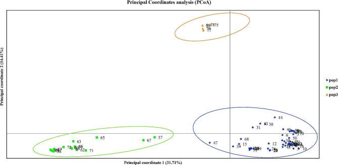 https://cdn.ncbi.nlm.nih.gov/pmc/blobs/79cb/11380355/2b7c72541461/12870_2024_5373_Fig2_HTML.jpg