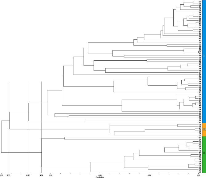 https://cdn.ncbi.nlm.nih.gov/pmc/blobs/79cb/11380355/6bf156664d32/12870_2024_5373_Fig1_HTML.jpg