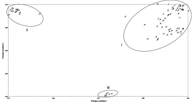 https://cdn.ncbi.nlm.nih.gov/pmc/blobs/79cb/11380355/70747918e794/12870_2024_5373_Fig7_HTML.jpg