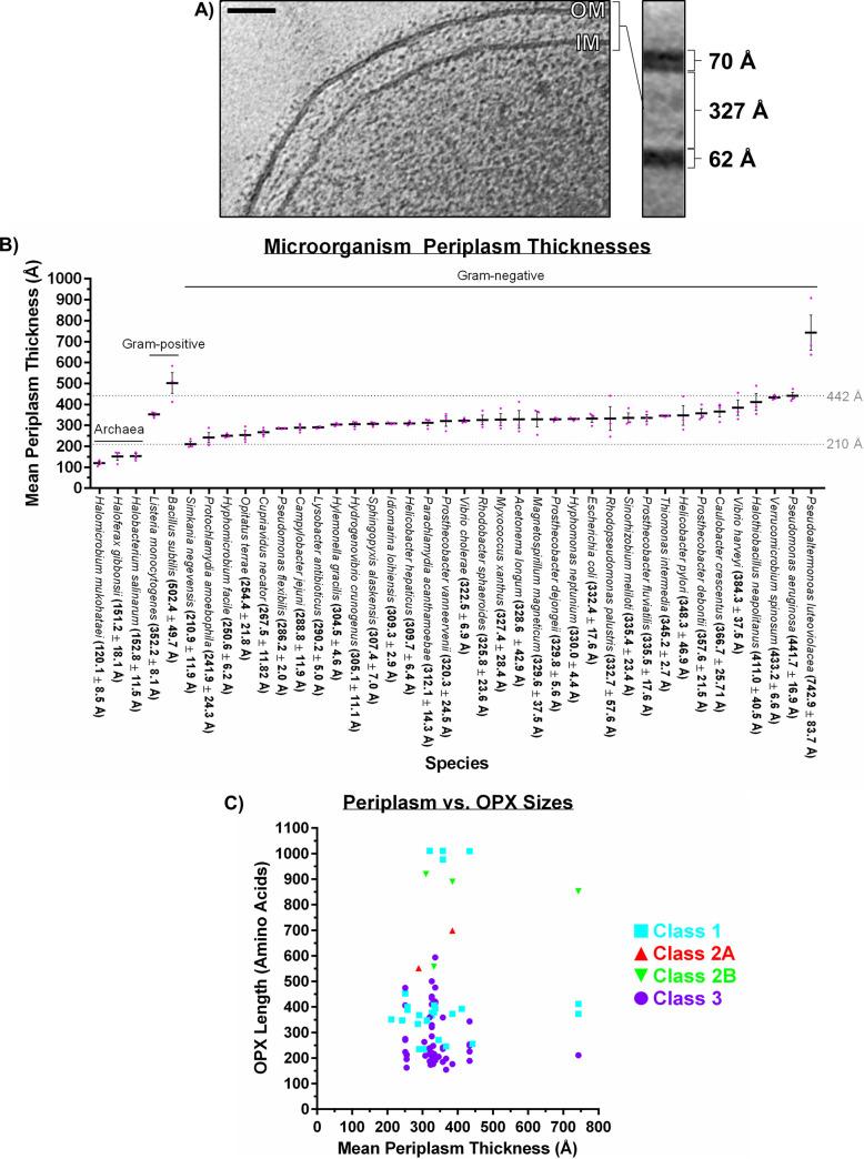 https://cdn.ncbi.nlm.nih.gov/pmc/blobs/79cf/9603273/0a1acf96354f/spectrum.01290-22-f005.jpg