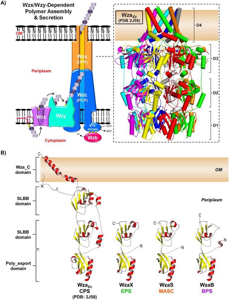 https://cdn.ncbi.nlm.nih.gov/pmc/blobs/79cf/9603273/398753a5a792/spectrum.01290-22-f001.jpg