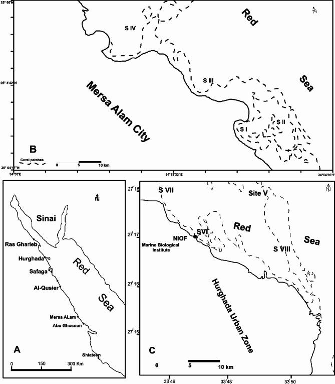 https://cdn.ncbi.nlm.nih.gov/pmc/blobs/79d0/12205052/7b2097981457/41598_2025_7135_Fig1_HTML.jpg
