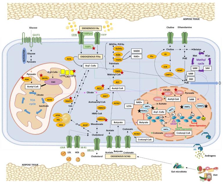 https://cdn.ncbi.nlm.nih.gov/pmc/blobs/79d3/8874497/63f69dbbfeea/nutrients-14-00851-g002.jpg