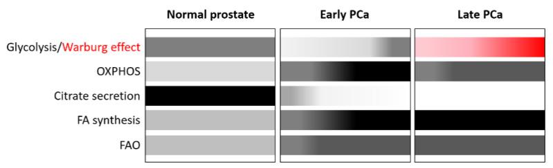 https://cdn.ncbi.nlm.nih.gov/pmc/blobs/79d3/8874497/d801ba38f390/nutrients-14-00851-g001.jpg