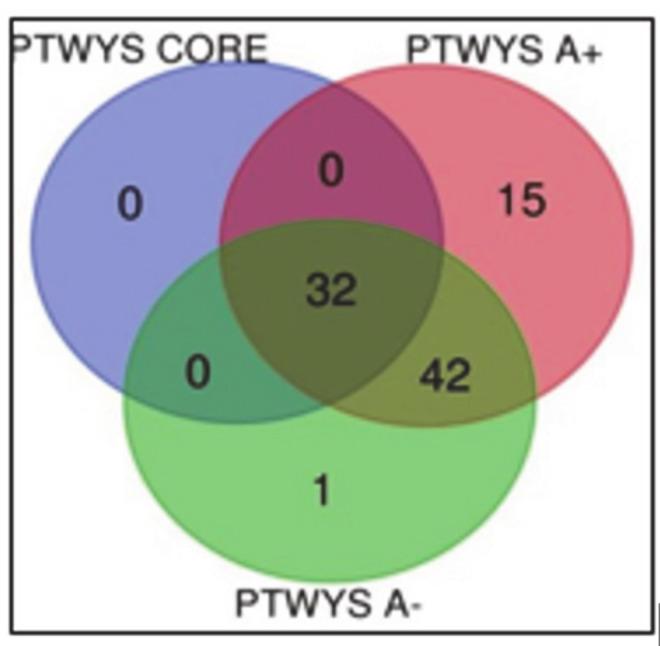 https://cdn.ncbi.nlm.nih.gov/pmc/blobs/79d4/7795841/46ccd1581a41/cancers-13-00030-g007.jpg
