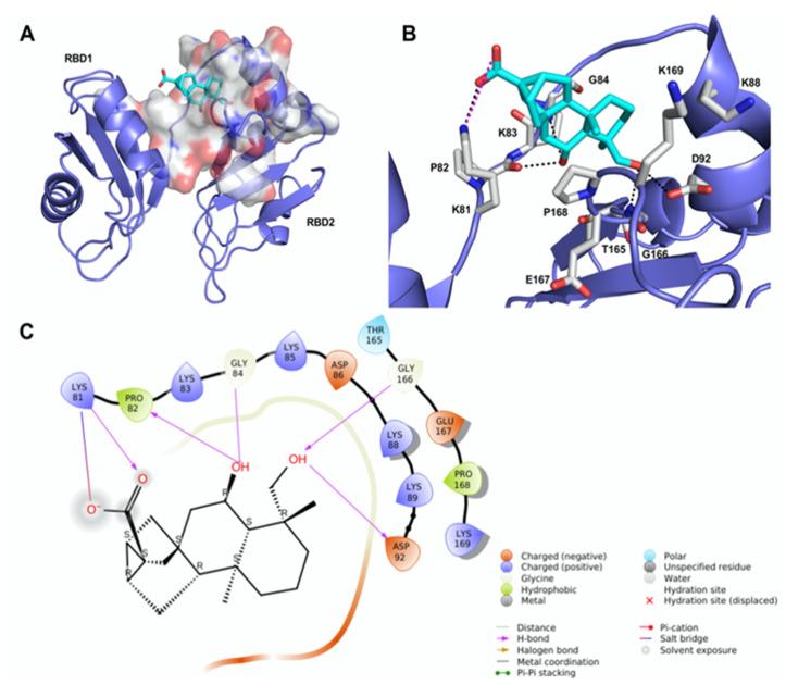 https://cdn.ncbi.nlm.nih.gov/pmc/blobs/79d6/9570042/04915985f608/ijms-23-11390-g002.jpg