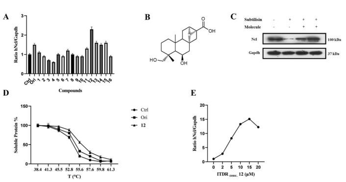 https://cdn.ncbi.nlm.nih.gov/pmc/blobs/79d6/9570042/c4d026895810/ijms-23-11390-g001.jpg