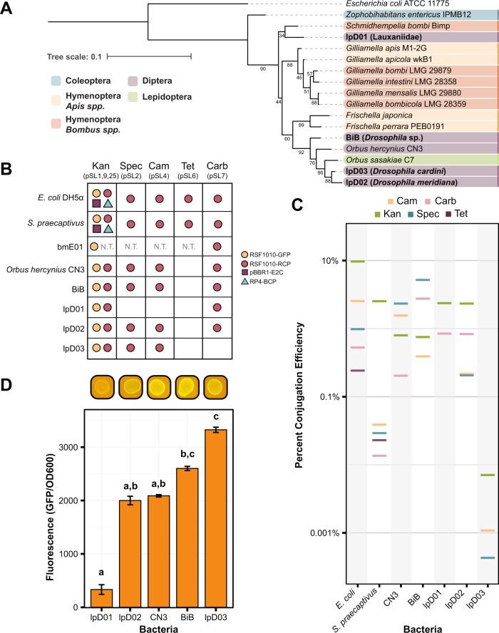 https://cdn.ncbi.nlm.nih.gov/pmc/blobs/79d7/10209150/d75c1bcddfa2/43705_2023_255_Fig2_HTML.jpg