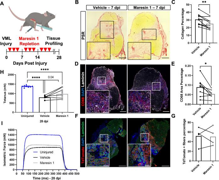 https://cdn.ncbi.nlm.nih.gov/pmc/blobs/79d9/10807862/583bd99b86f7/elife-86437-fig3.jpg