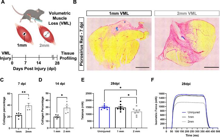 https://cdn.ncbi.nlm.nih.gov/pmc/blobs/79d9/10807862/9cde7273acc5/elife-86437-fig1.jpg