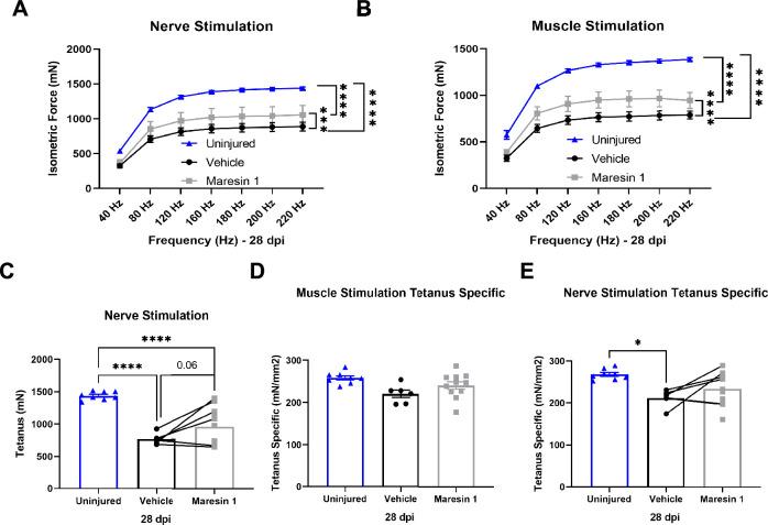 https://cdn.ncbi.nlm.nih.gov/pmc/blobs/79d9/10807862/dd166997f29e/elife-86437-fig3-figsupp3.jpg