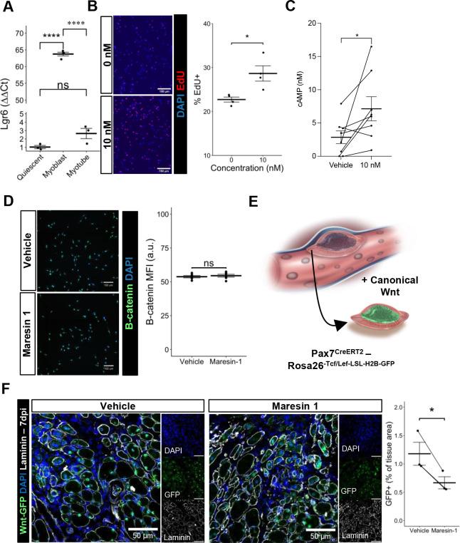 https://cdn.ncbi.nlm.nih.gov/pmc/blobs/79d9/10807862/e0ecd0fd056b/elife-86437-fig4.jpg