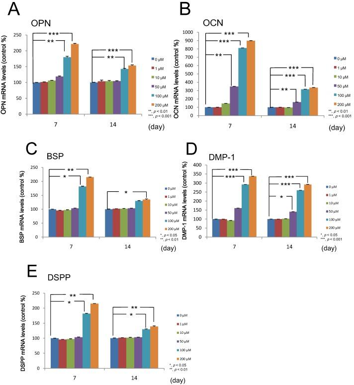 https://cdn.ncbi.nlm.nih.gov/pmc/blobs/79d9/4227163/43d9bc8f7098/ijms-15-17304-g005.jpg