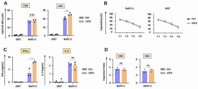 https://cdn.ncbi.nlm.nih.gov/pmc/blobs/79da/12191382/8d483e67308a/cells-14-00901-g002.jpg
