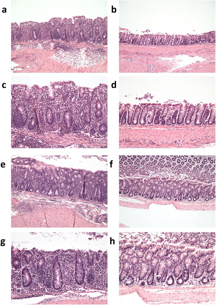 https://cdn.ncbi.nlm.nih.gov/pmc/blobs/79da/5686186/be4b01cb445c/41598_2017_15791_Fig4_HTML.jpg