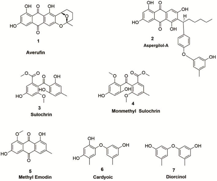 https://cdn.ncbi.nlm.nih.gov/pmc/blobs/79db/10577379/48343cdf1241/fmicb-14-1216928-g0003.jpg