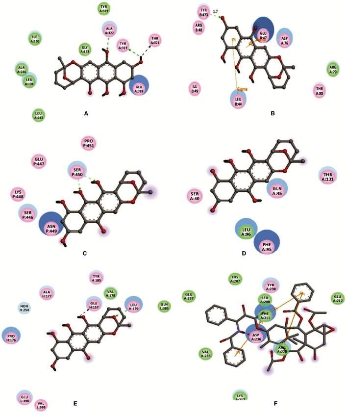 https://cdn.ncbi.nlm.nih.gov/pmc/blobs/79db/10577379/797e7c147732/fmicb-14-1216928-g0004.jpg