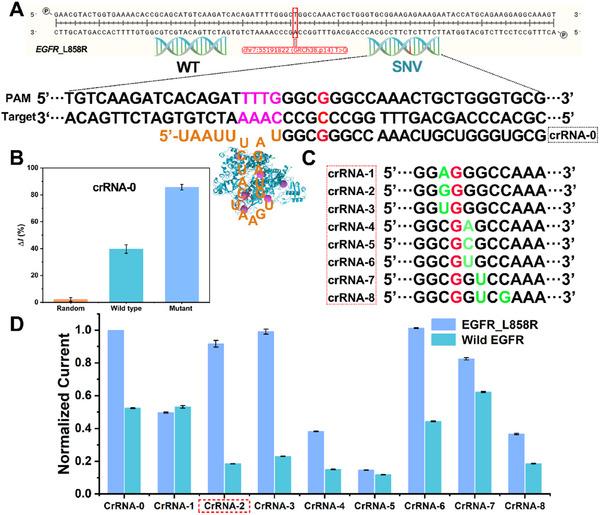 https://cdn.ncbi.nlm.nih.gov/pmc/blobs/79db/12165068/55fe82709d29/ADVS-12-2417206-g007.jpg