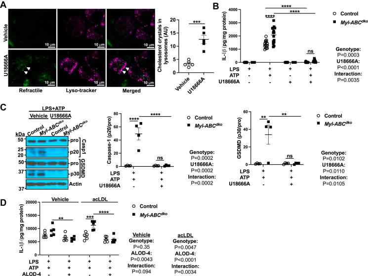 https://cdn.ncbi.nlm.nih.gov/pmc/blobs/79dc/11031842/23616a9a4728/gr1.jpg