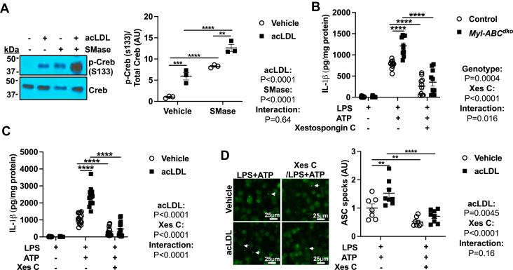 https://cdn.ncbi.nlm.nih.gov/pmc/blobs/79dc/11031842/7c282f23c084/gr3.jpg