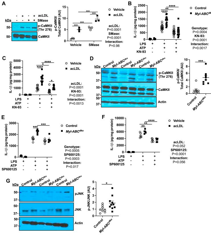 https://cdn.ncbi.nlm.nih.gov/pmc/blobs/79dc/11031842/bb06b78755a6/gr4.jpg