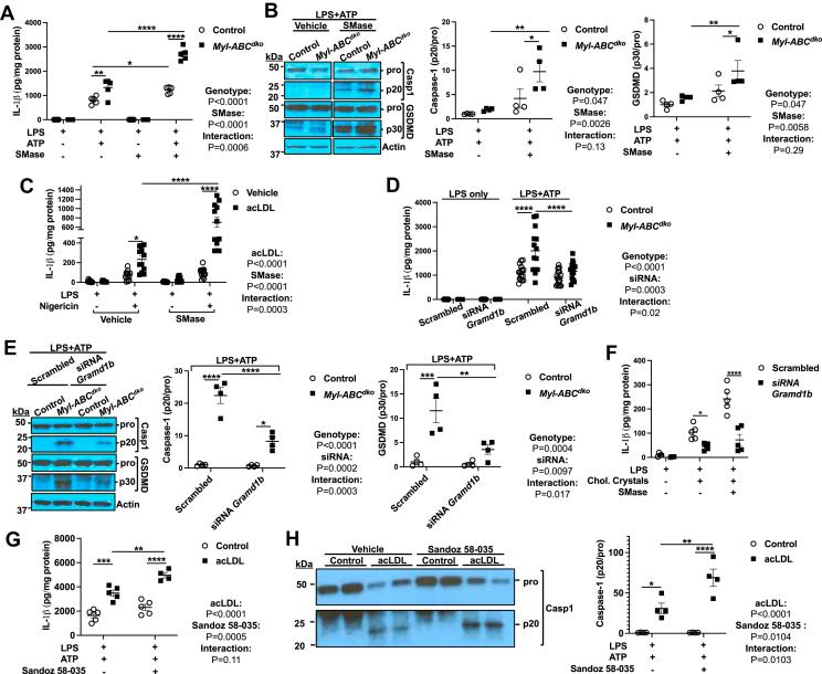 https://cdn.ncbi.nlm.nih.gov/pmc/blobs/79dc/11031842/bf9480946623/gr2.jpg