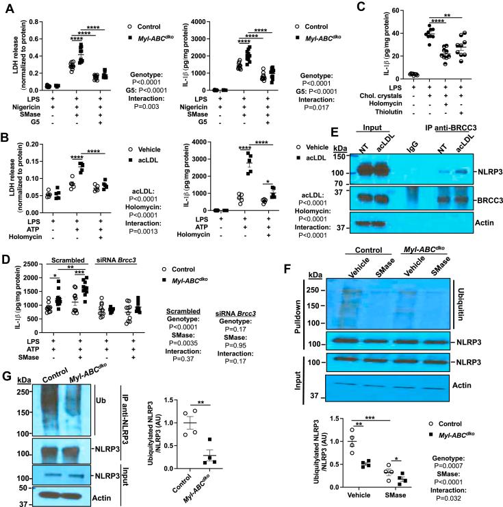https://cdn.ncbi.nlm.nih.gov/pmc/blobs/79dc/11031842/dfa6b911a9d7/gr5.jpg