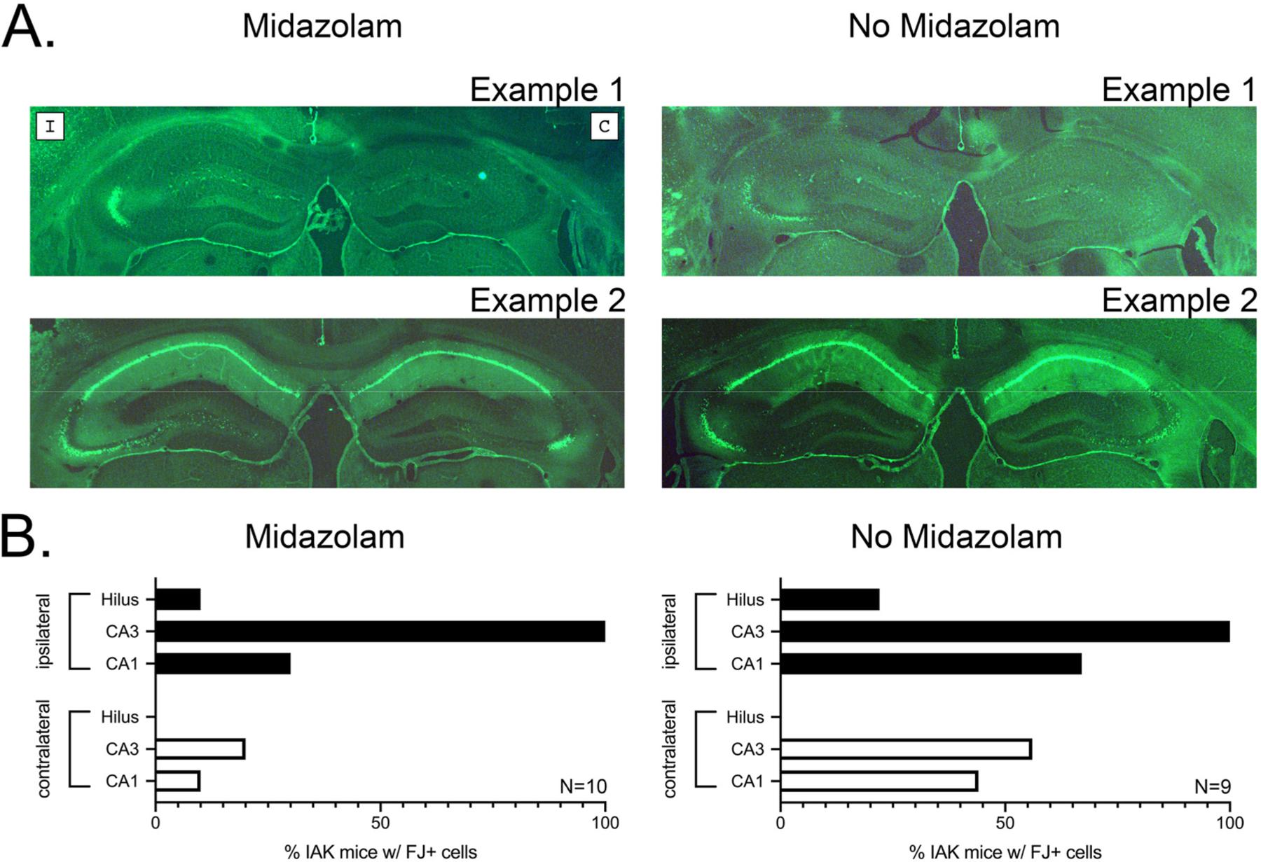https://cdn.ncbi.nlm.nih.gov/pmc/blobs/79de/8815304/ffb7221a7983/nihms-1768536-f0003.jpg