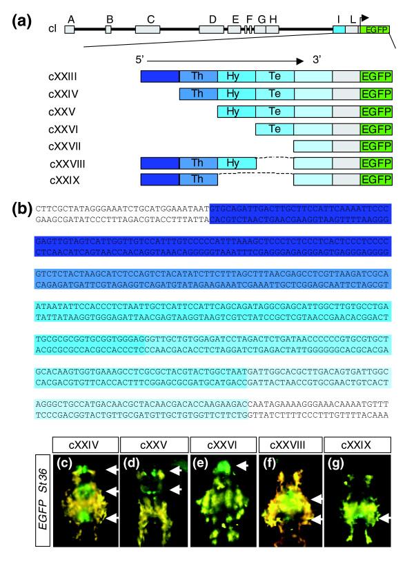 https://cdn.ncbi.nlm.nih.gov/pmc/blobs/79e0/2323233/a85717805d78/gb-2007-8-7-r137-5.jpg