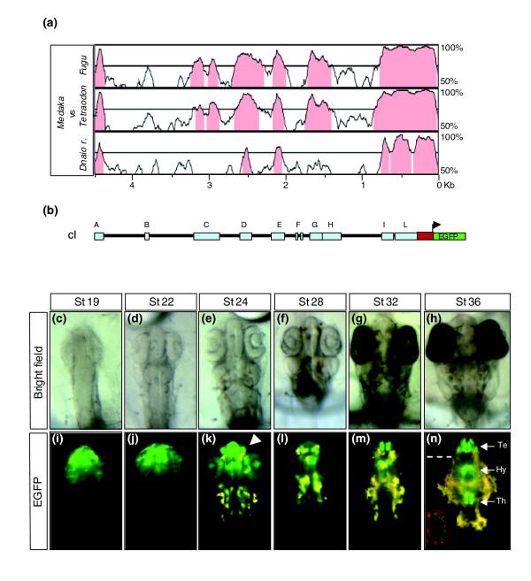 https://cdn.ncbi.nlm.nih.gov/pmc/blobs/79e0/2323233/e8191f710fa4/gb-2007-8-7-r137-2.jpg
