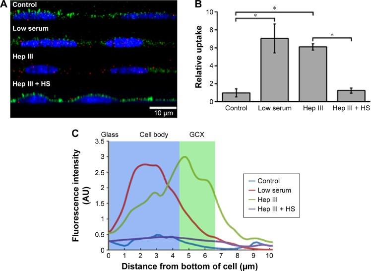 https://cdn.ncbi.nlm.nih.gov/pmc/blobs/79e0/4959595/7fa1b68cf3e6/ijn-11-3305Fig4.jpg