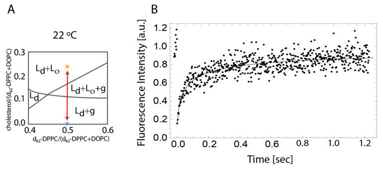 https://cdn.ncbi.nlm.nih.gov/pmc/blobs/79e2/7767200/88b8293bdec9/membranes-10-00434-g001.jpg
