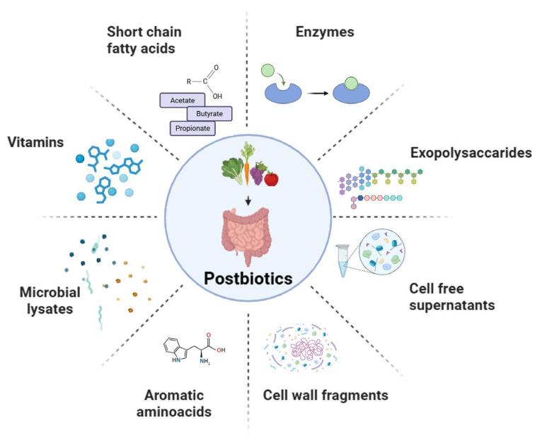 https://cdn.ncbi.nlm.nih.gov/pmc/blobs/79e3/12195411/70fa4e6ecc15/microorganisms-13-01335-g002.jpg