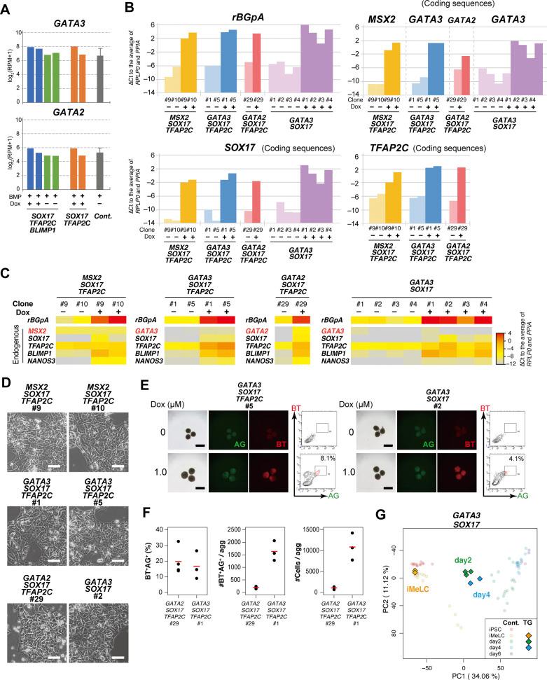 https://cdn.ncbi.nlm.nih.gov/pmc/blobs/79e5/7918644/75254b98fe70/LSA-2020-00974_FigS3.jpg