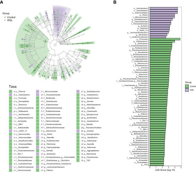 https://cdn.ncbi.nlm.nih.gov/pmc/blobs/79e6/10111054/698c69e923ac/fcimb-13-1119616-g003.jpg