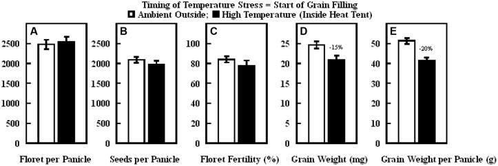 https://cdn.ncbi.nlm.nih.gov/pmc/blobs/79e6/4594118/3dcb0fd2ea45/fpls-06-00820-g009.jpg