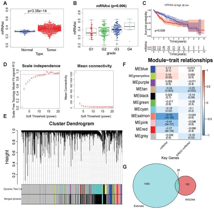 https://cdn.ncbi.nlm.nih.gov/pmc/blobs/79e7/7485734/bd599a09ac23/aging-12-103832-g002.jpg