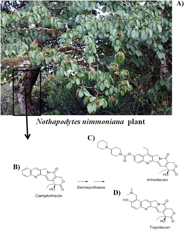 https://cdn.ncbi.nlm.nih.gov/pmc/blobs/79e8/4262271/a9cec265d581/pone.0112769.g001.jpg