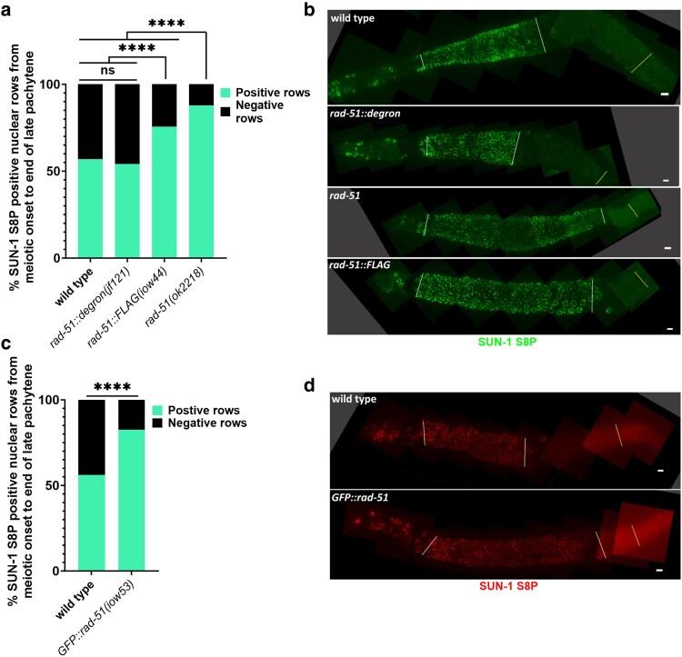 https://cdn.ncbi.nlm.nih.gov/pmc/blobs/79e9/12135186/cfa0f3394950/iyaf063f3.jpg