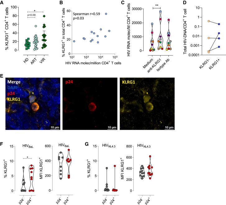 https://cdn.ncbi.nlm.nih.gov/pmc/blobs/79ea/10591043/4bc1541d87a3/gr5.jpg