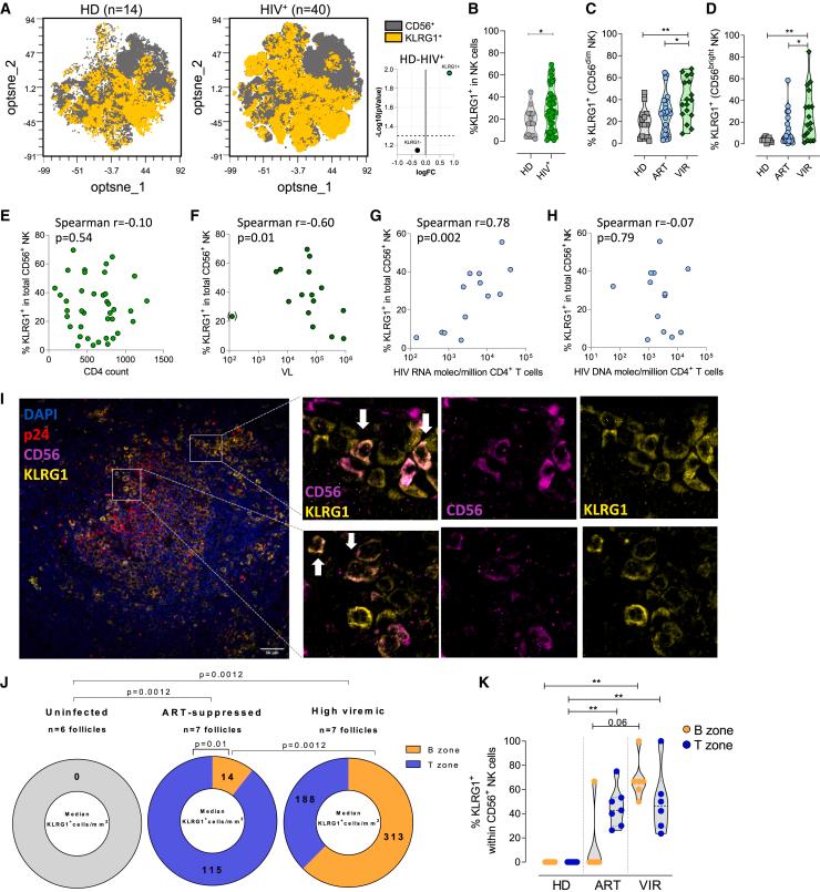 https://cdn.ncbi.nlm.nih.gov/pmc/blobs/79ea/10591043/cb365b4ebd6e/gr1.jpg