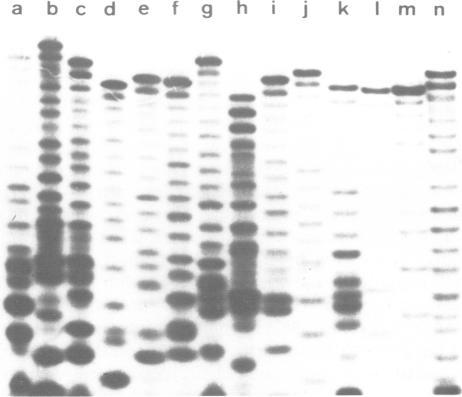 https://cdn.ncbi.nlm.nih.gov/pmc/blobs/79ee/557430/fabd91ad3ba0/emboj00308-0109-a.jpg