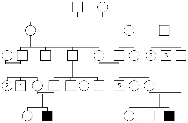 https://cdn.ncbi.nlm.nih.gov/pmc/blobs/79ee/8658006/296fc0f7c247/ijms-22-12633-g002.jpg