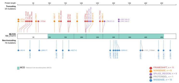 https://cdn.ncbi.nlm.nih.gov/pmc/blobs/79ee/8658006/ca5bd0200f3a/ijms-22-12633-g004.jpg