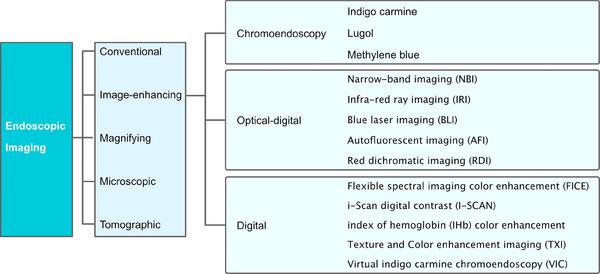 https://cdn.ncbi.nlm.nih.gov/pmc/blobs/79f2/11091847/926026346e07/DEO2-5-e382-g008.jpg
