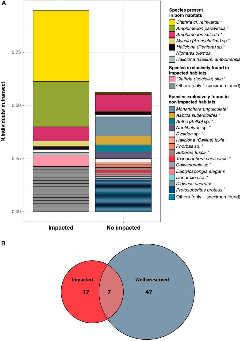 https://cdn.ncbi.nlm.nih.gov/pmc/blobs/79f2/6713927/ff3570c7bc6e/fmicb-10-01961-g001.jpg