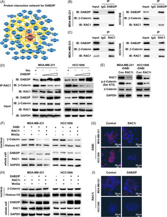 https://cdn.ncbi.nlm.nih.gov/pmc/blobs/79f2/9763535/500fef312d27/CTM2-12-e1133-g002.jpg