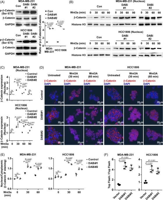 https://cdn.ncbi.nlm.nih.gov/pmc/blobs/79f2/9763535/715cce826c8a/CTM2-12-e1133-g001.jpg